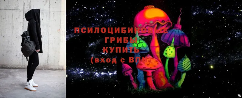 ссылка на мегу tor  Нягань  Псилоцибиновые грибы Psilocybe 